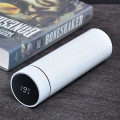 Temperature Display Insulated Bottle