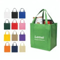 Non Woven Bag