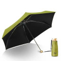 Pocket Umbrella