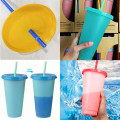 23 OZ. Cold Color Changing Cup with Lid and Straw
