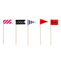 Custom Toothpick Flag