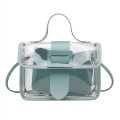 Transparent Sling Bag
