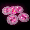 LED Light
Up Wine Bottle Sticker