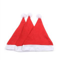 Adult Christmas hat
