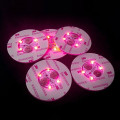 LED Bottle STICKERS-4LIGHTS