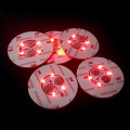 LED Bottle STICKERS-4LIGHTS