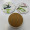 Round Ceramic Coaster