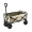 Collapsible Wagons Cart with Cover