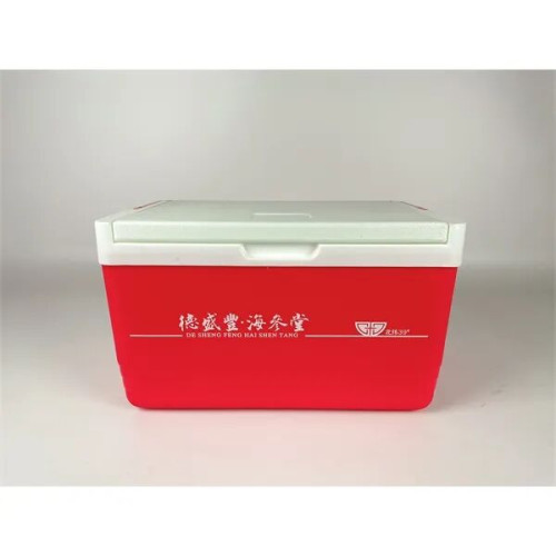 6 can Cooler Box