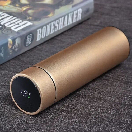 Temperature Display Insulated Bottle
