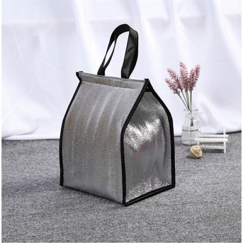 Disposable Waterproof Insulated Thermal Lunch Cooler Bag