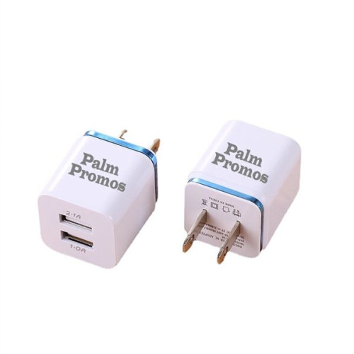 2 USB Ports Wall Charger