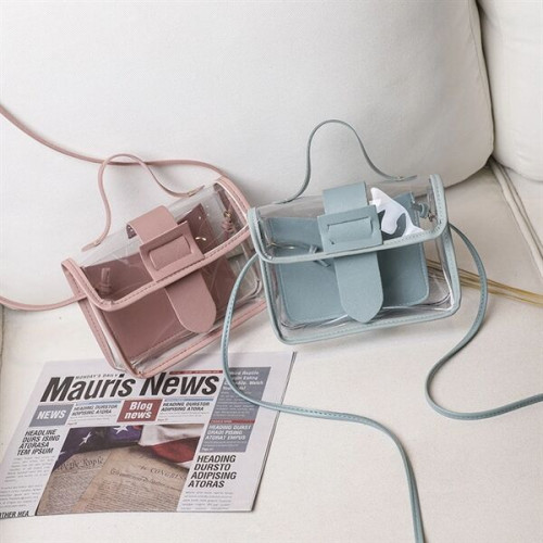 Transparent Sling Bag