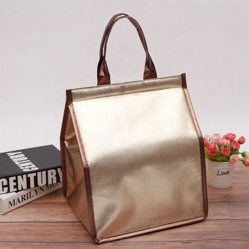 Non-woven Insulated 
Thermal Bag