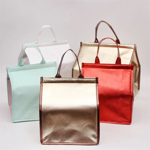 Non-woven Insulated 
Thermal Bag