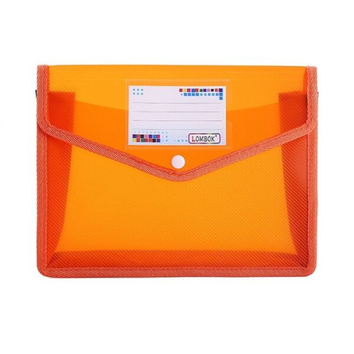 Plastic Folders with Closure and Pockets