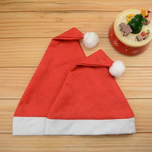 Adult Christmas hat